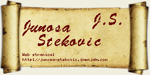 Junoša Steković vizit kartica